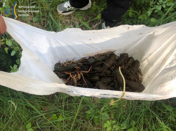На Черкащині чоловік наловив раків на понад 100 тисяч